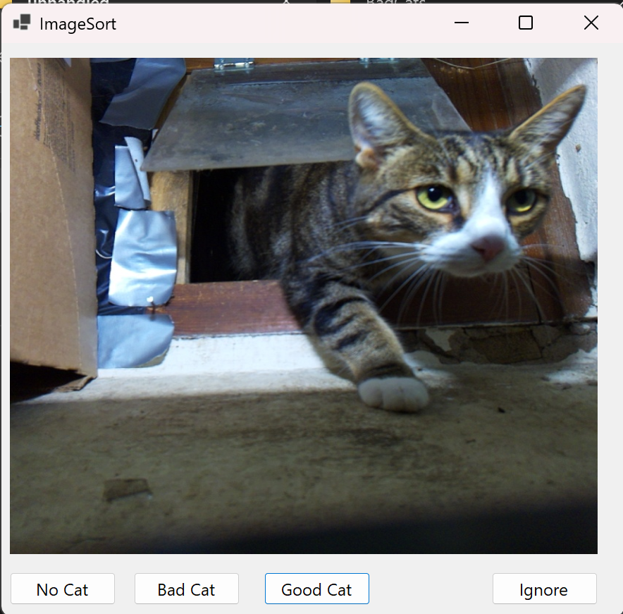 One of the attempts to train images, this in .NET